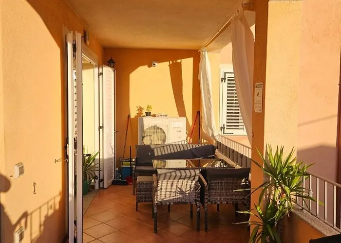 Volpe Sardinie U Lisky *